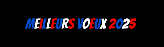 Gif animé meilleurs vœux 2025 couleurs du drapeau français