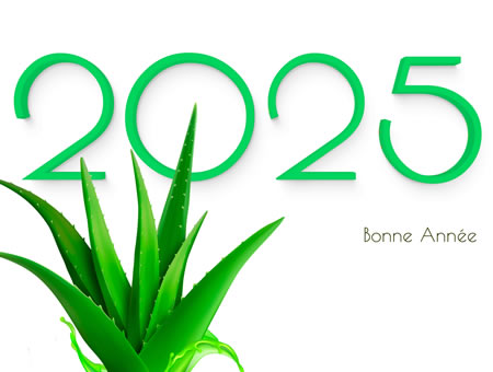Image 2025 avec plante d'aloès