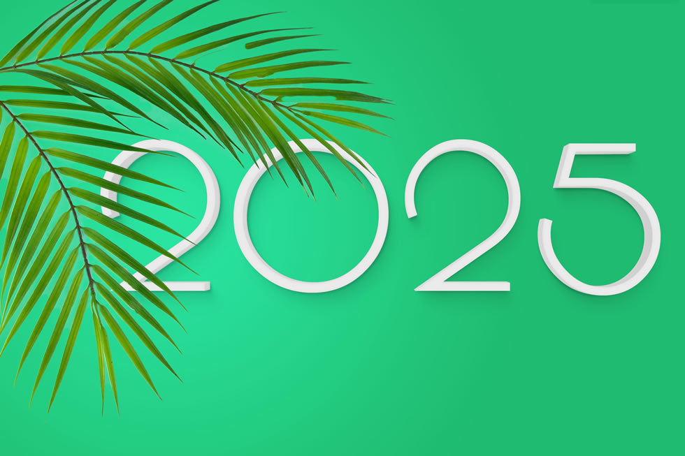Image 2025 avec feuille de palmier