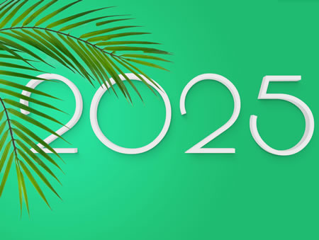 image 2025 avec feuille de palmier