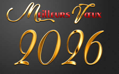 carte de voeux 2026 or, rouge et noir