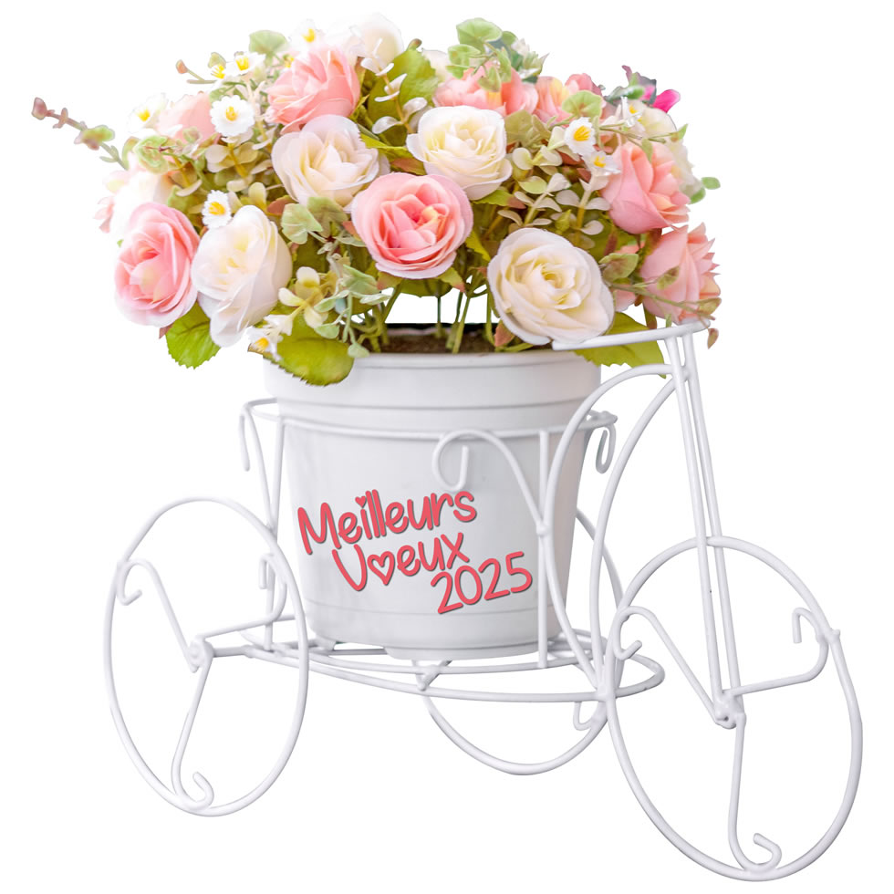 Image vélo avec bouquet de roses