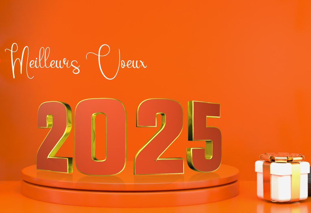 Meilleurs voeux 2025 couleur orange