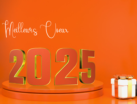 Meilleurs voeux 2025 couleur orange