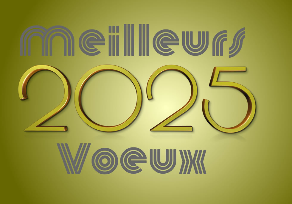 Image Meilleurs voeux 2025 jaune