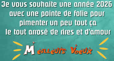 Carte Bonne année 2026 avec une pointe de folie -  image drôle à partager