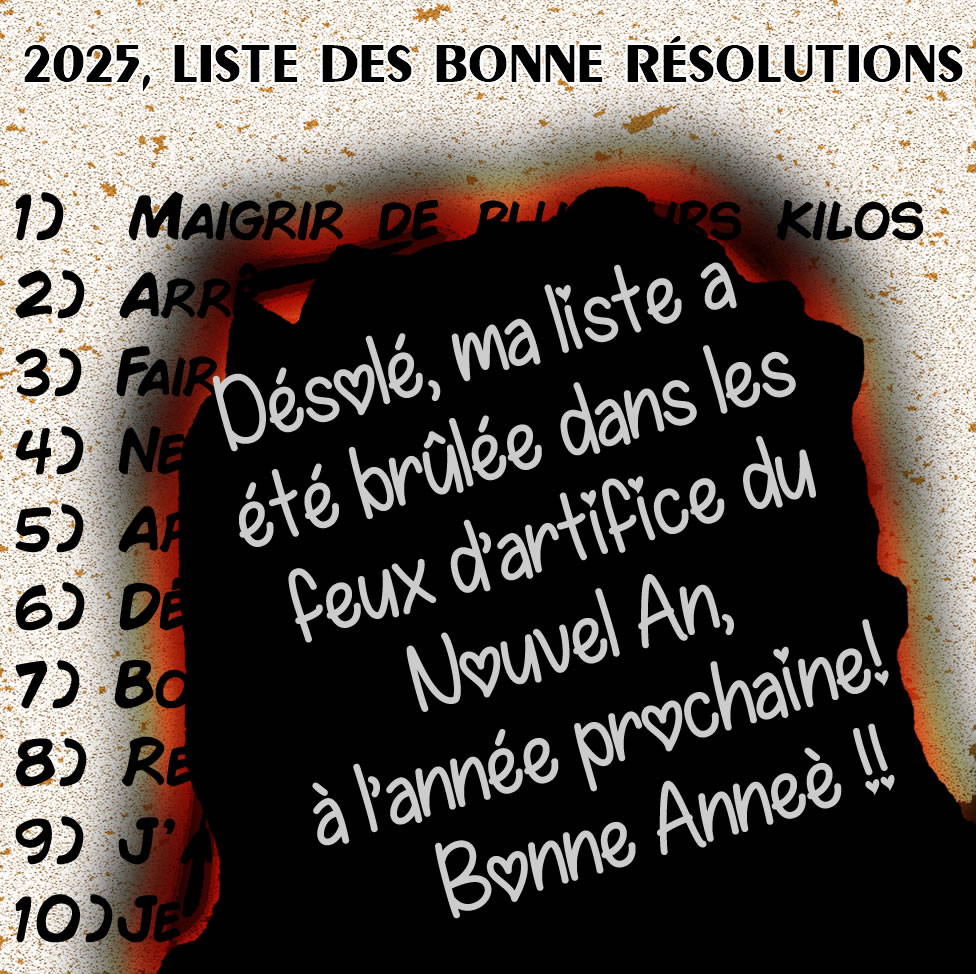 Liste de bonnes résolutions 2024 brûlée