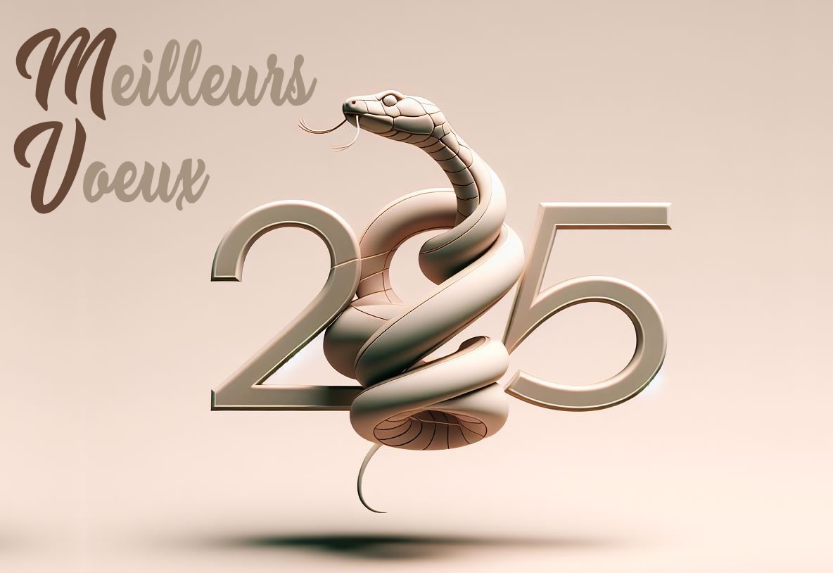 Image 2025, L'année du Serpent de Bois