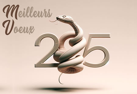 2025, L'année du Serpent de Bois