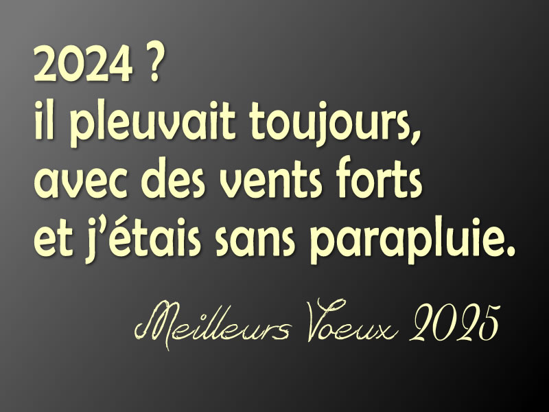 Image avec texte drole : 2024 ? il pleuvait toujours