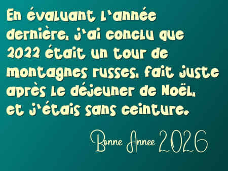 Cartes de Voeux : En évaluant l’année dernière