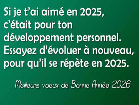 Cartes de voeux 2026 : Si je t’ai aimé en 2025